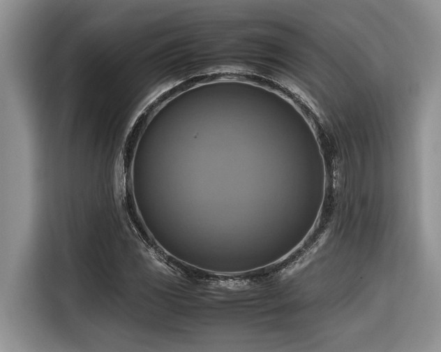 X0000116421117200912081458