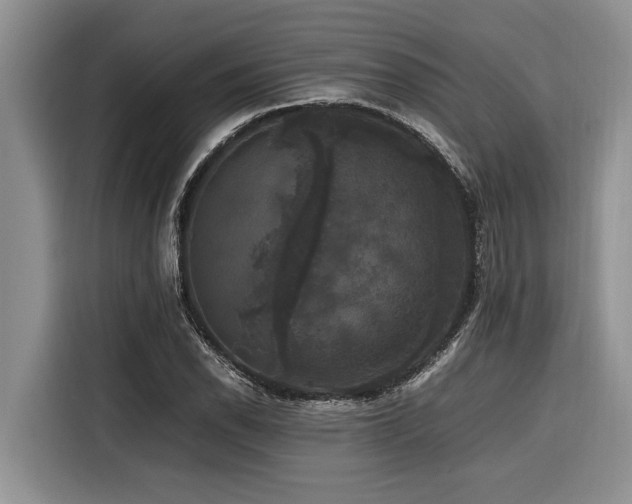 X0000116421118200912081458