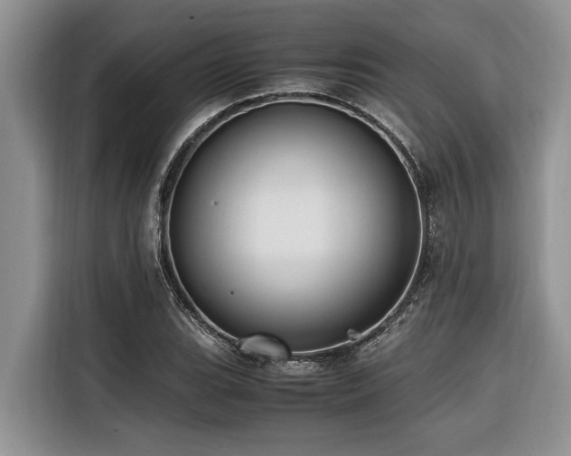X0000116421119200912081458