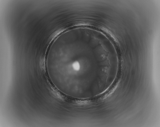 X0000116421121200912081458
