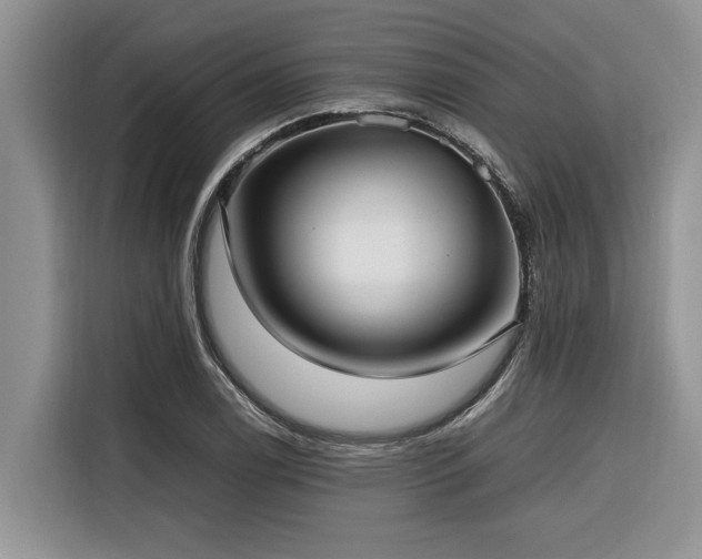 X0000116421122200912081458