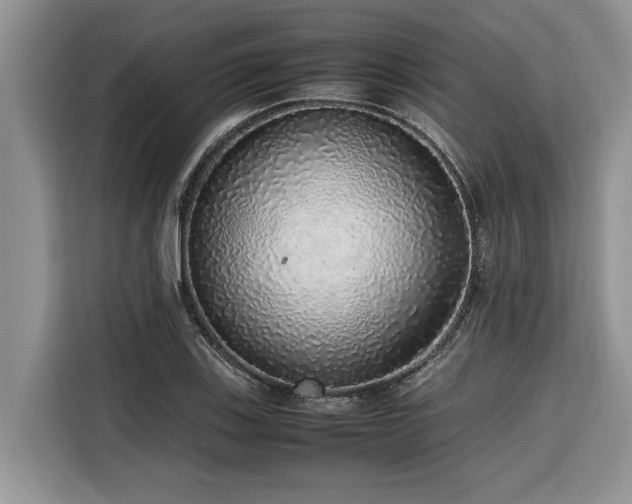 X0000116421123200912081458