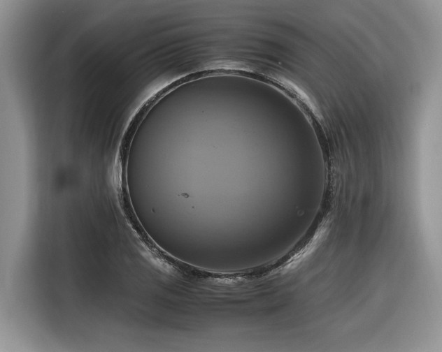 X0000116421125200912081458