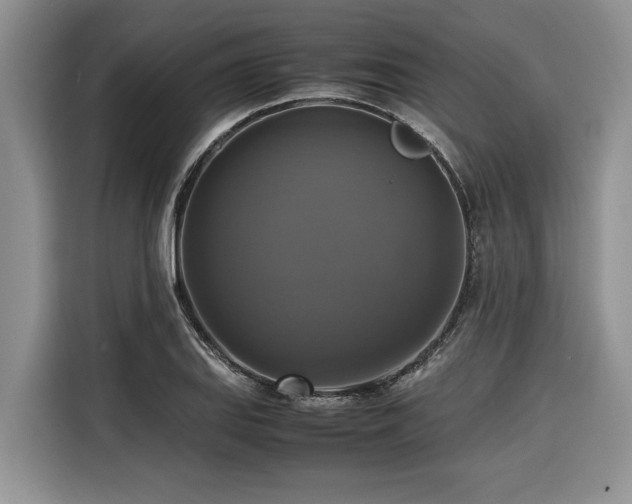 X0000116421127200912081458