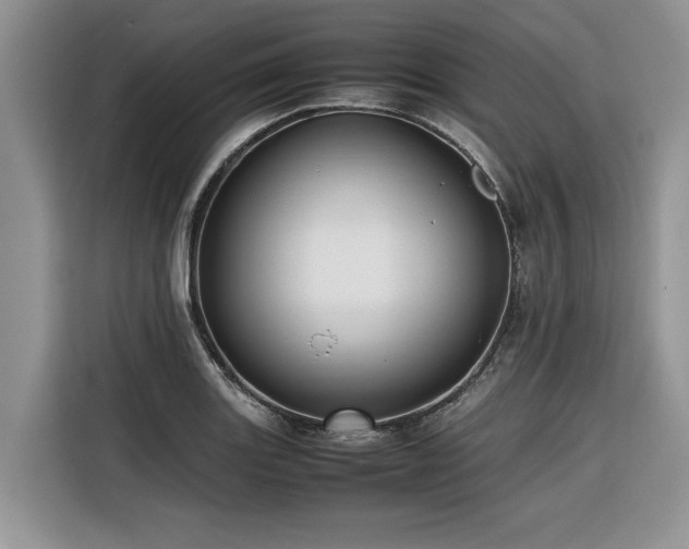X0000116421131200912081459