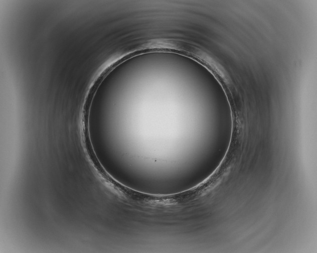 X0000116421133200912081459