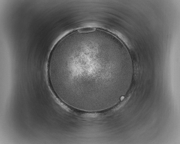 X0000116421134200912081459