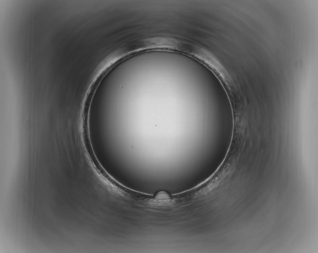 X0000116421135200912081459