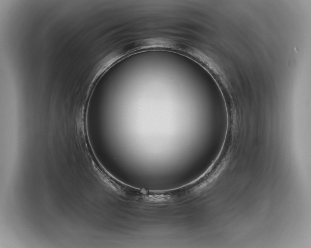 X0000116421137200912081459