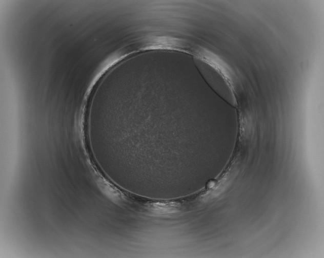 X0000116421138200912081459
