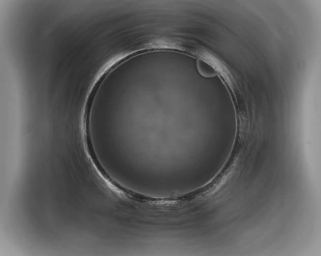 X0000116421141200912081459