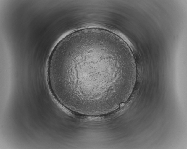X0000116421142200912081459