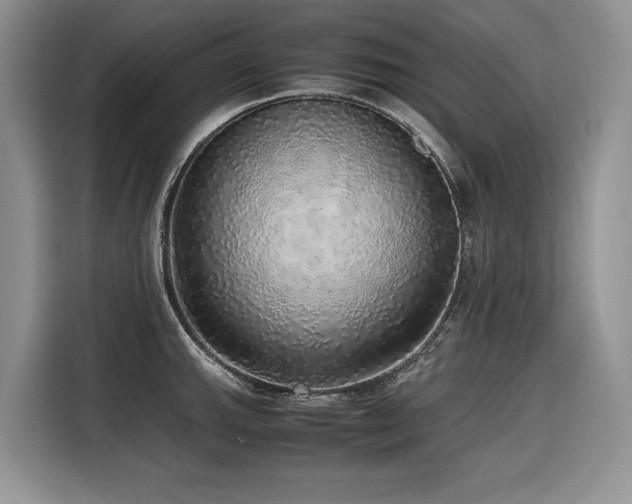 X0000116421143200912081459