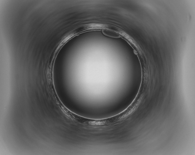 X0000116421145200912081459