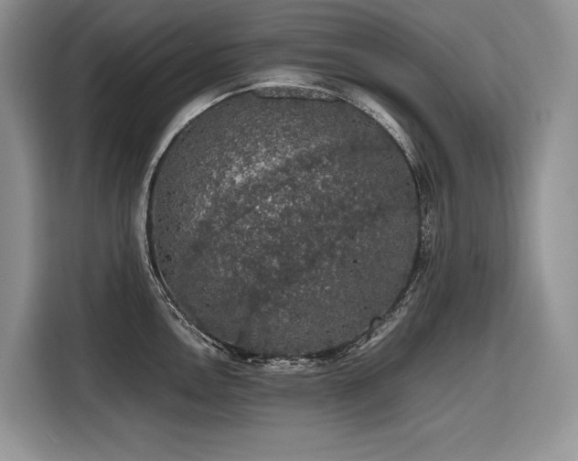 X0000116421146200912081459