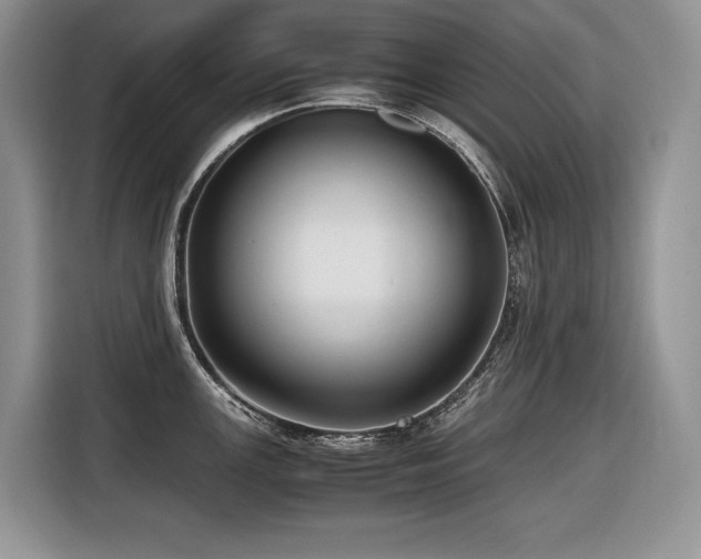 X0000116421147200912081459