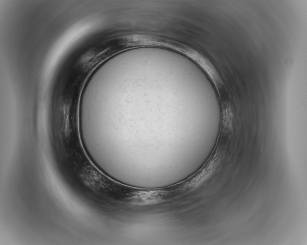X0000116421150200912081459