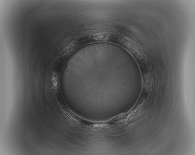 X0000116421154200912081458