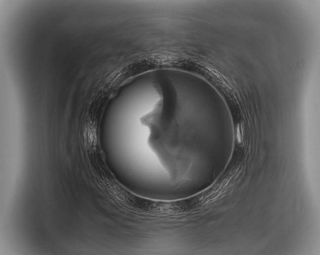 X0000116421155200912081458