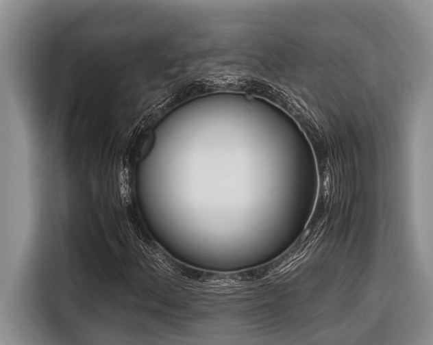 X0000116421156200912081458