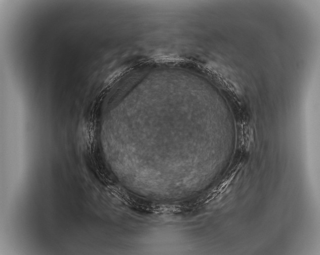 X0000116421157200912081458