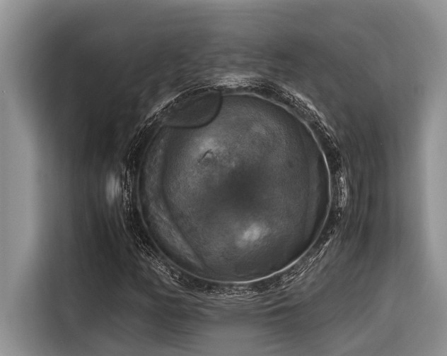 X0000116421158200912081458