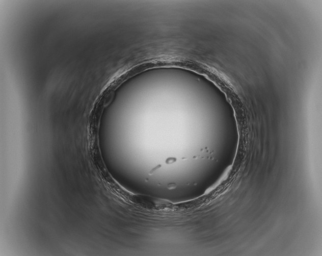 X0000116421160200912081458