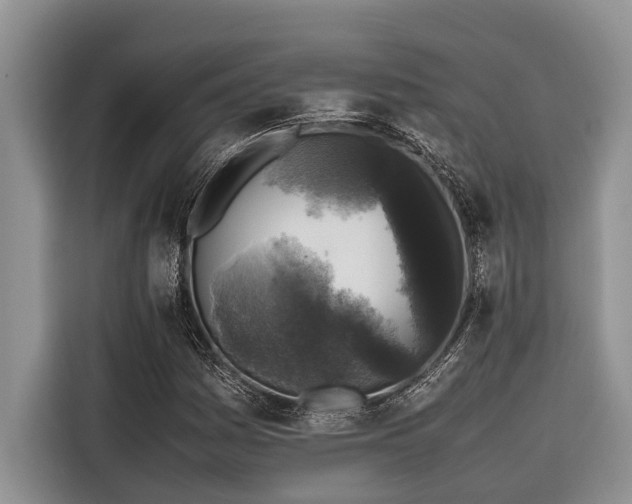 X0000116421161200912081458