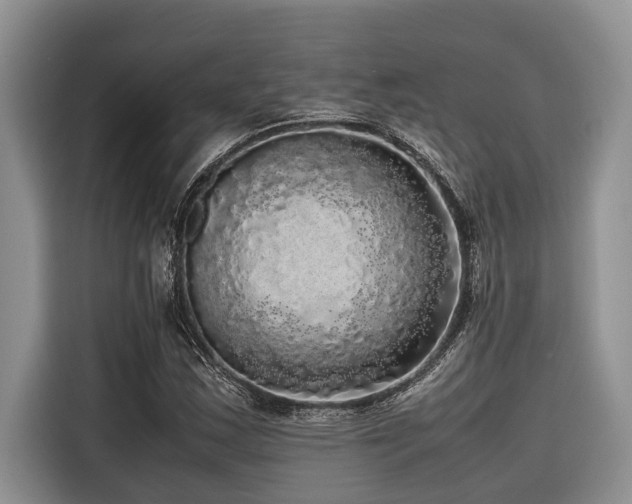 X0000116421163200912081458
