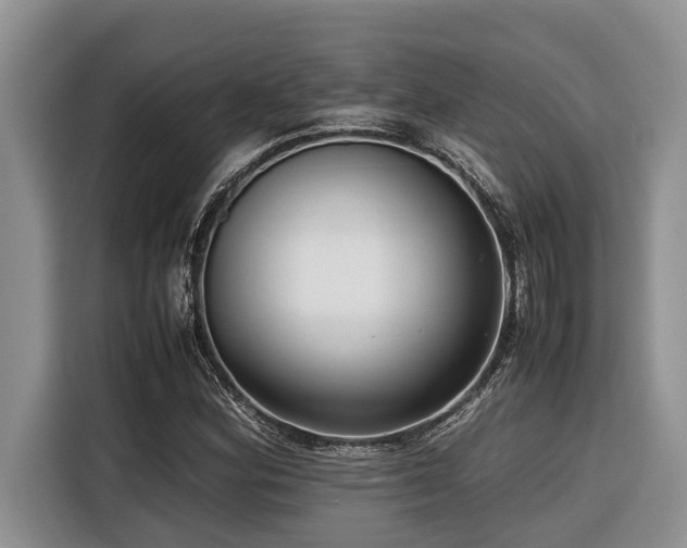 X0000116421164200912081458