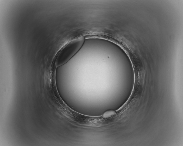 X0000116421165200912081458
