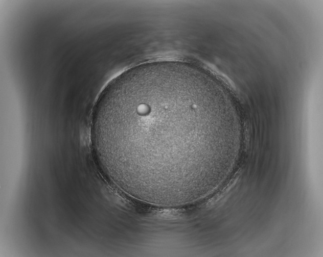 X0000116421166200912081458