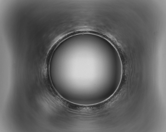X0000116421167200912081458
