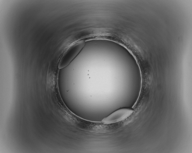 X0000116421169200912081458