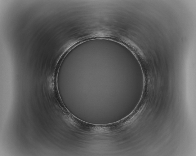 X0000116421170200912081458