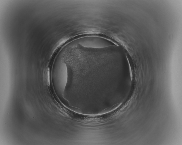 X0000116421171200912081458
