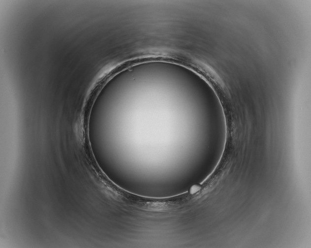 X0000116421172200912081458