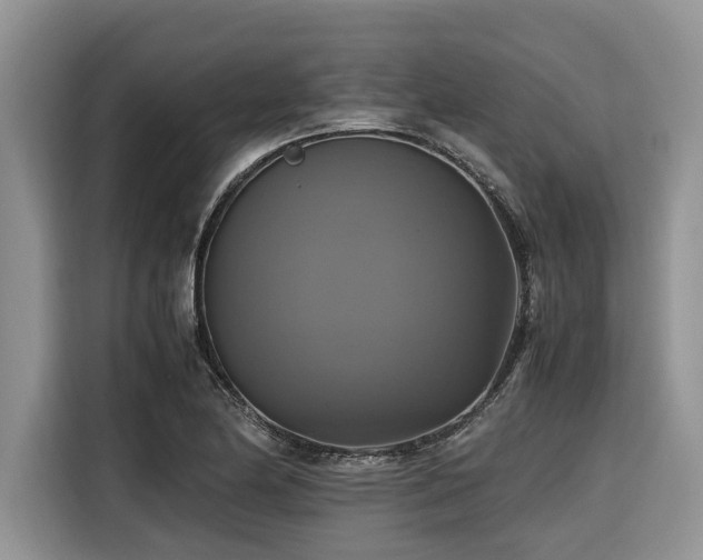 X0000116421174200912081458