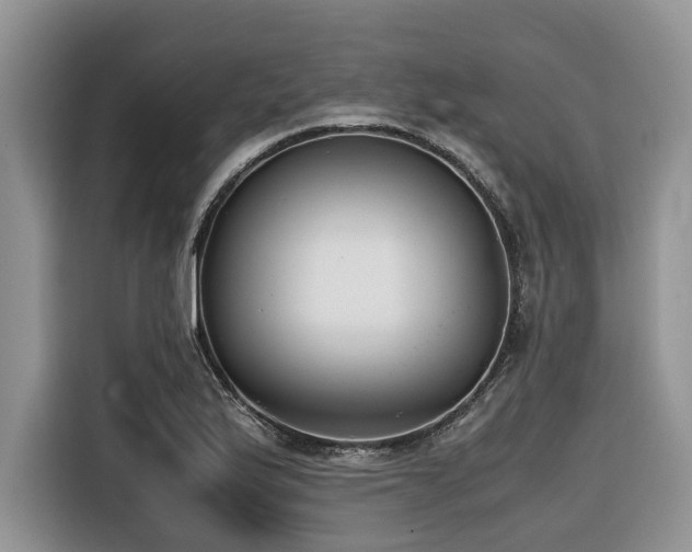 X0000116421175200912081458