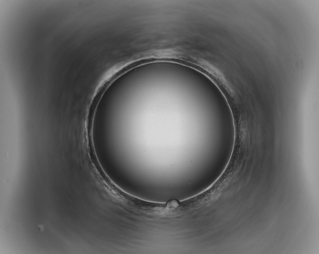 X0000116421176200912081458