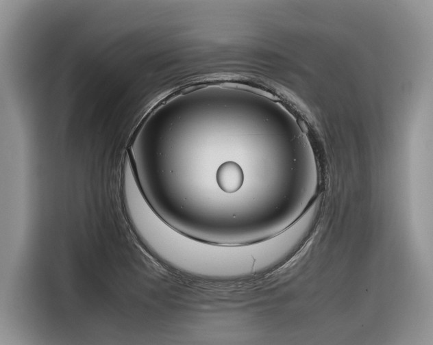 X0000116421177200912081458