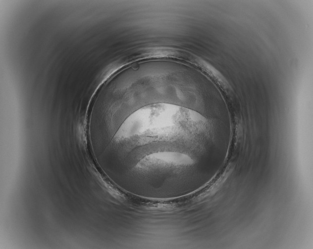 X0000116421178200912081458