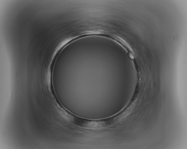 X0000116421179200912081458
