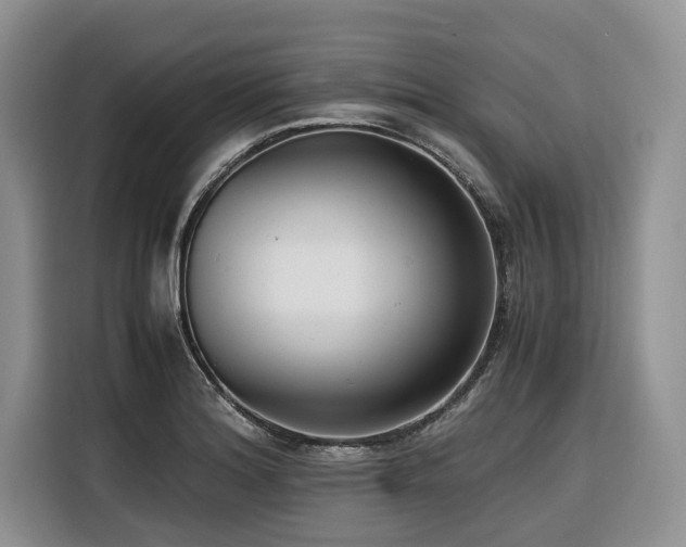X0000116421180200912081458