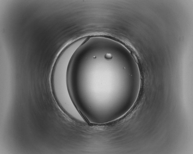 X0000116421181200912081458