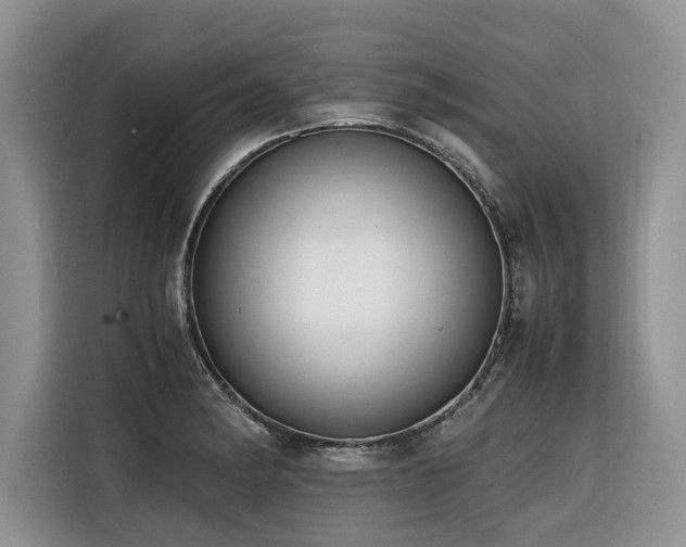X0000116421182200912081458