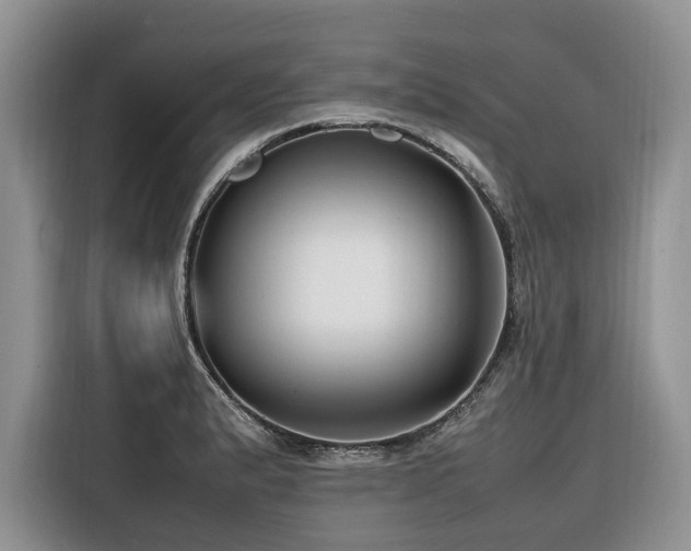 X0000116421183200912081458