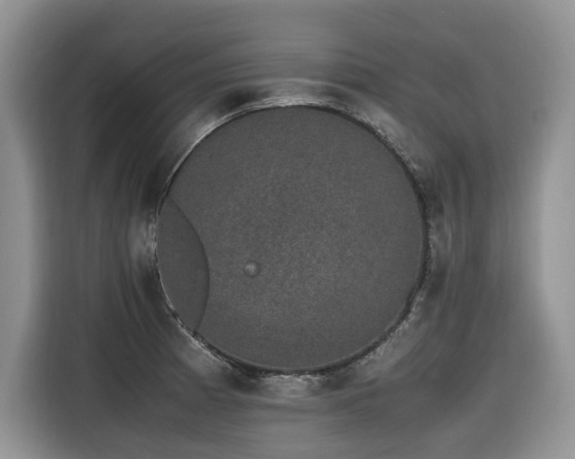 X0000116421185200912081458