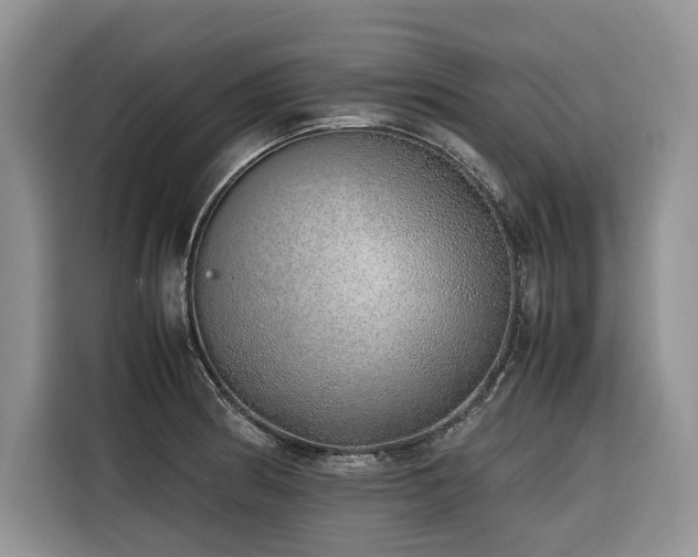 X0000116421186200912081458