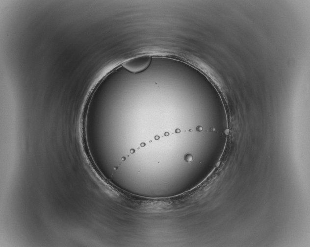 X0000116421187200912081458